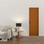 Puerta Plegable de PVC 0.72 x 2.10 m.