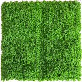 Jardín Vertical Musgo (0,50 x 0,50 m) x ud.